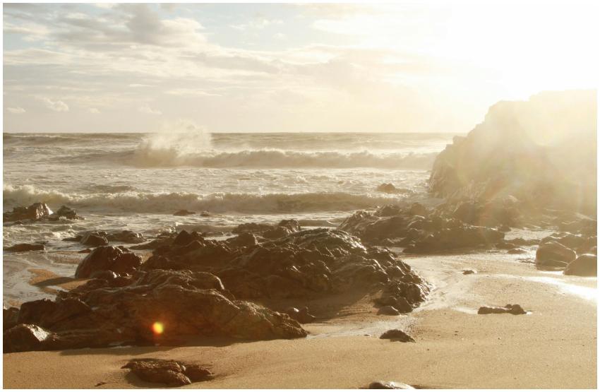 Beautiful seascape featuring sunlit waves crashing