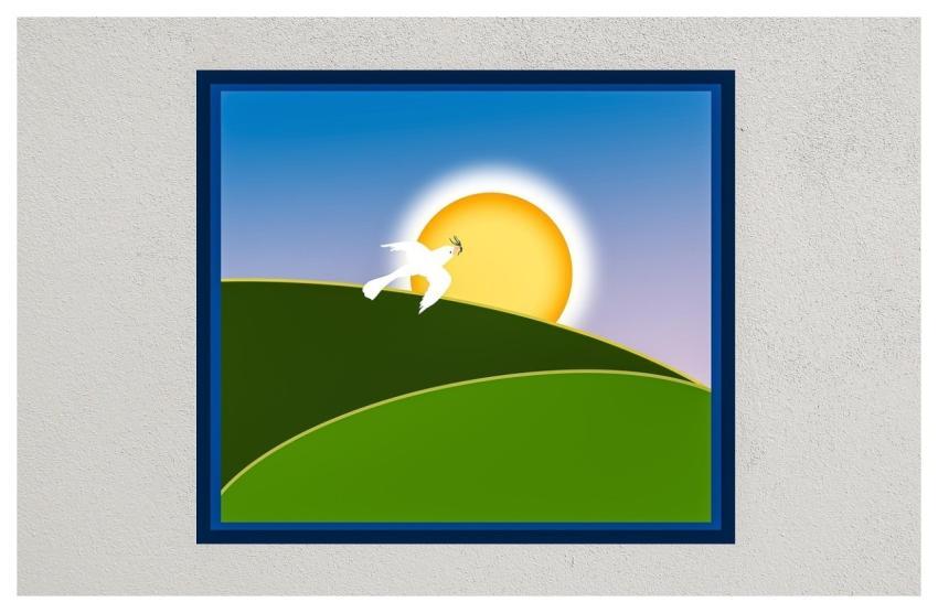 Hd Wallpaper Dove Olive Branch Sun