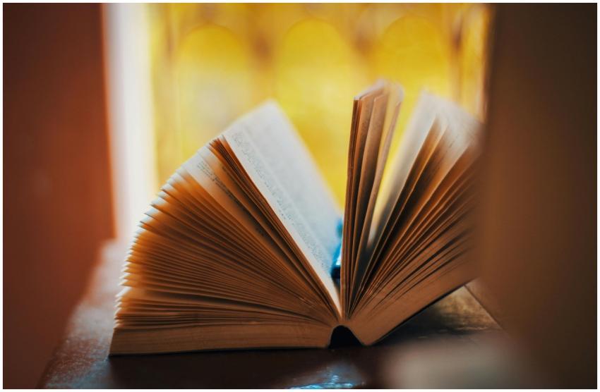 An open book with pages fanned out, set against a