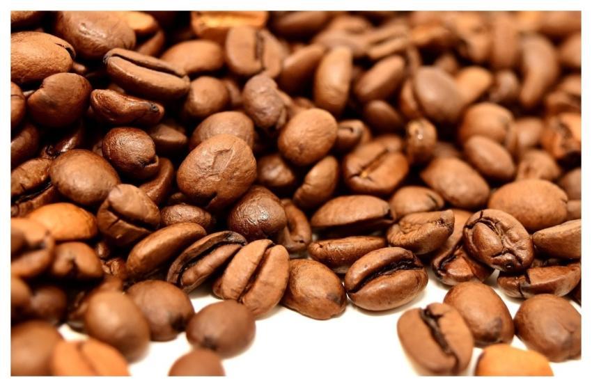 Coffee Beans Seed Caffeine