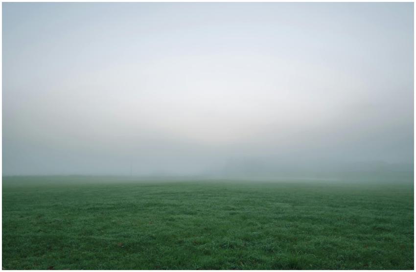 A tranquil scene of a foggy field at dawn with dew