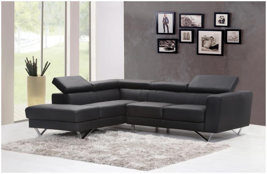 Contemporary living room featuring a sleek black s