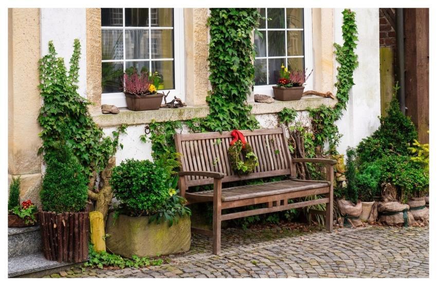 Bench Facade Garden Ivy