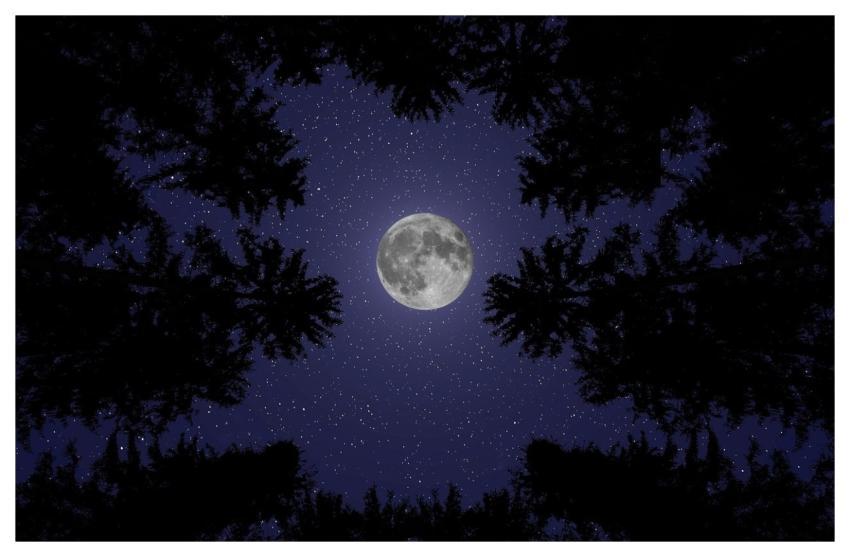 Moon Night Sky 4K Wallpaper Wallpaper 4K