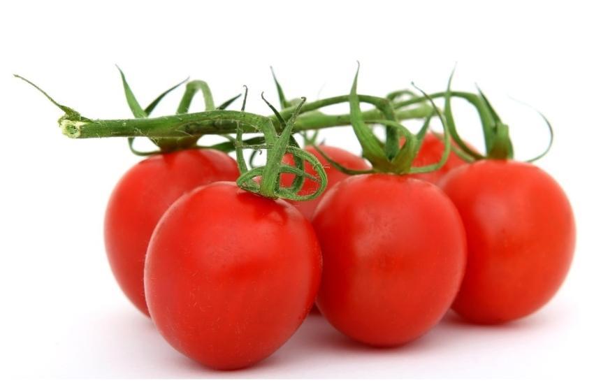 Tomatoes Vegetables Food Fresh