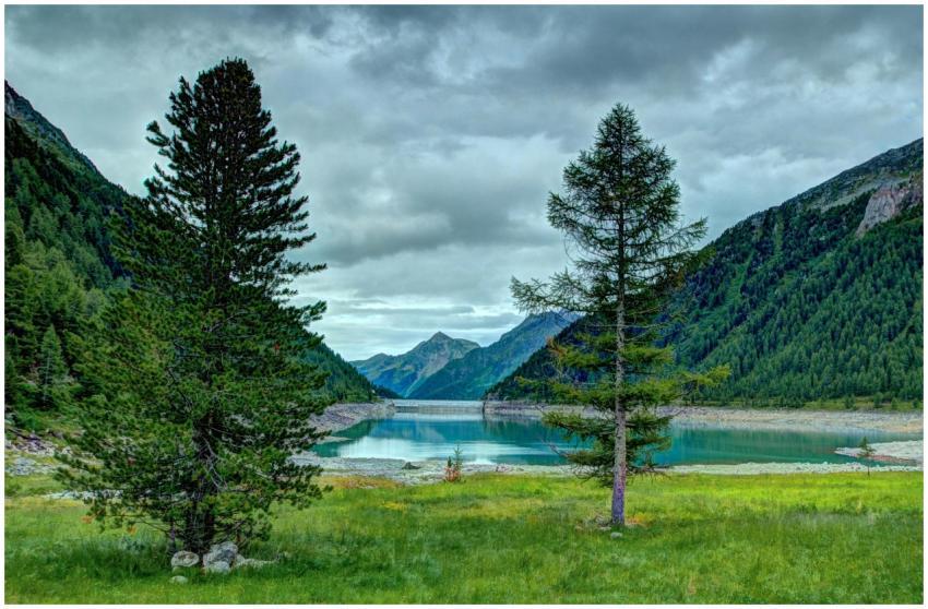 Tranquil lake surrounded by lush pine forests and