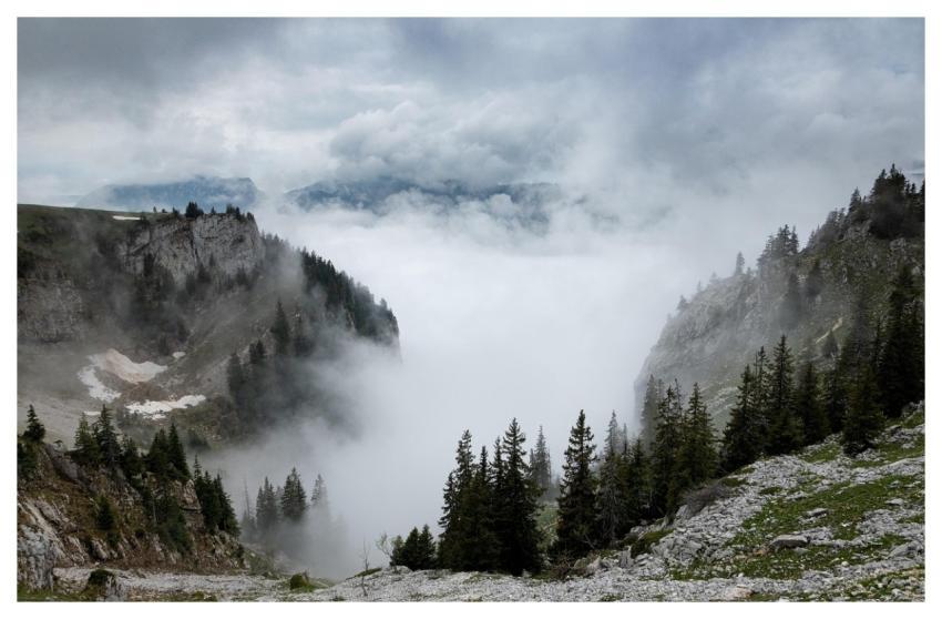 Mountain Mist Landscape Nature