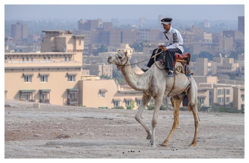 Cairo Egypt Giza Pyramid