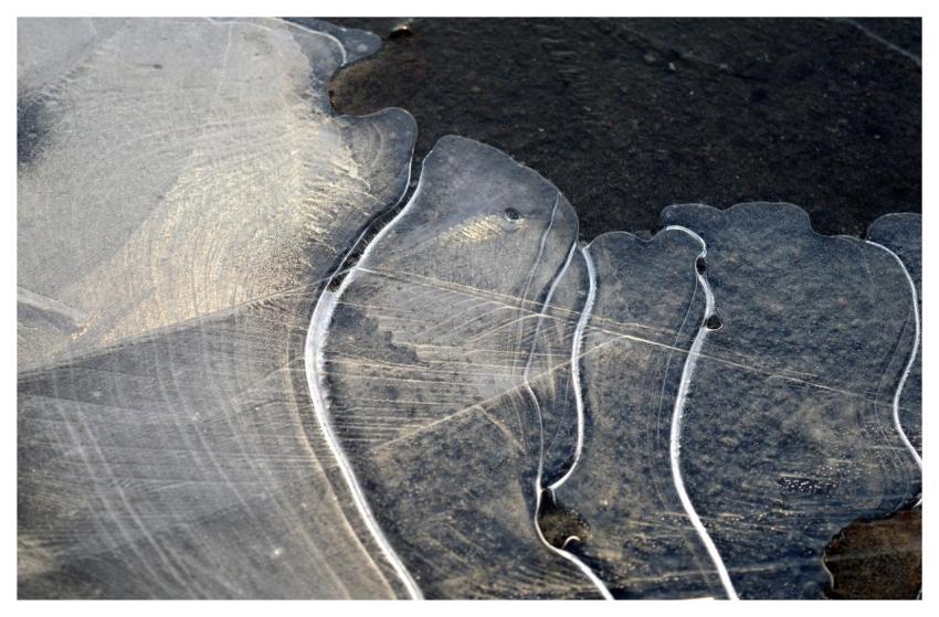 Frost Hd Wallpaper Hoarfrost Abstract