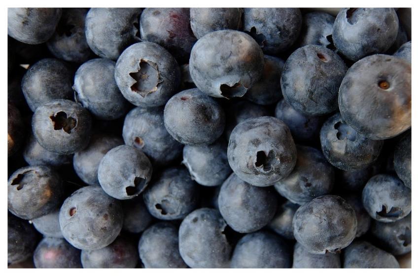 Blueberry Blueberries Food Fruit