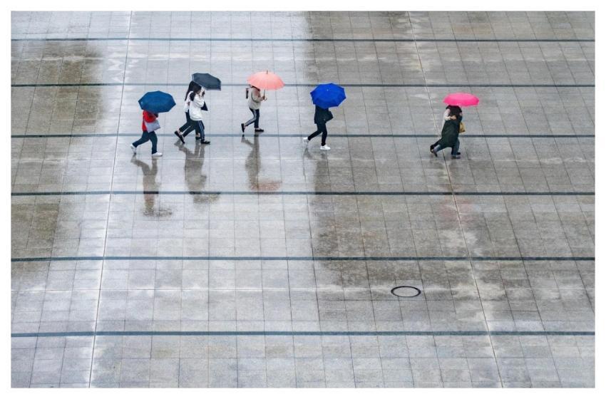 Rain People Umbrellas Wet