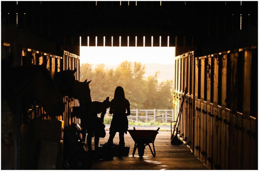 Silhouetted figures with horses in barn at sunrise