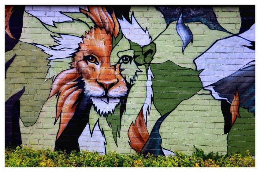 Street Art Art Painting Graffiti