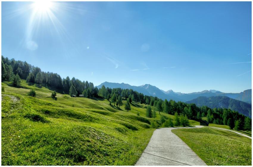 Tranquil mountain landscape with a sunny pathway,