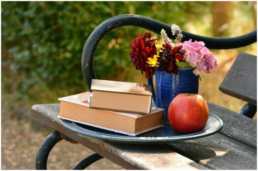 A serene outdoor setting featuring books, flowers