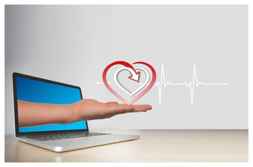 Heart Curve Health Healthy