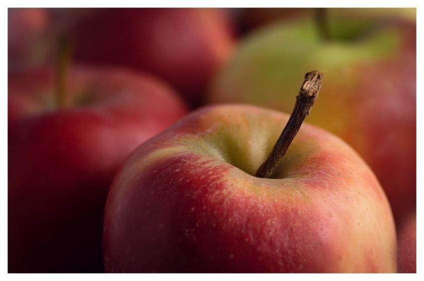 Apple Healthy Red Fruit