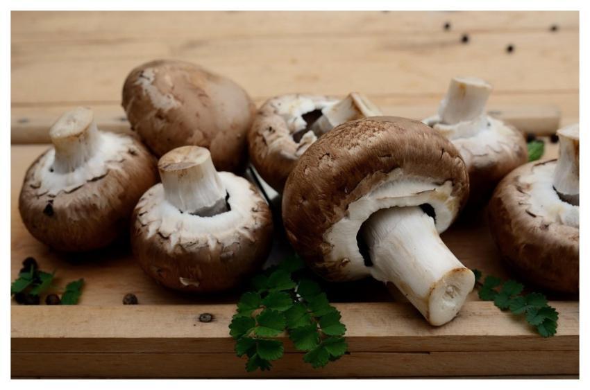 Mushrooms Edible Mushrooms Vegetarian Ingredient