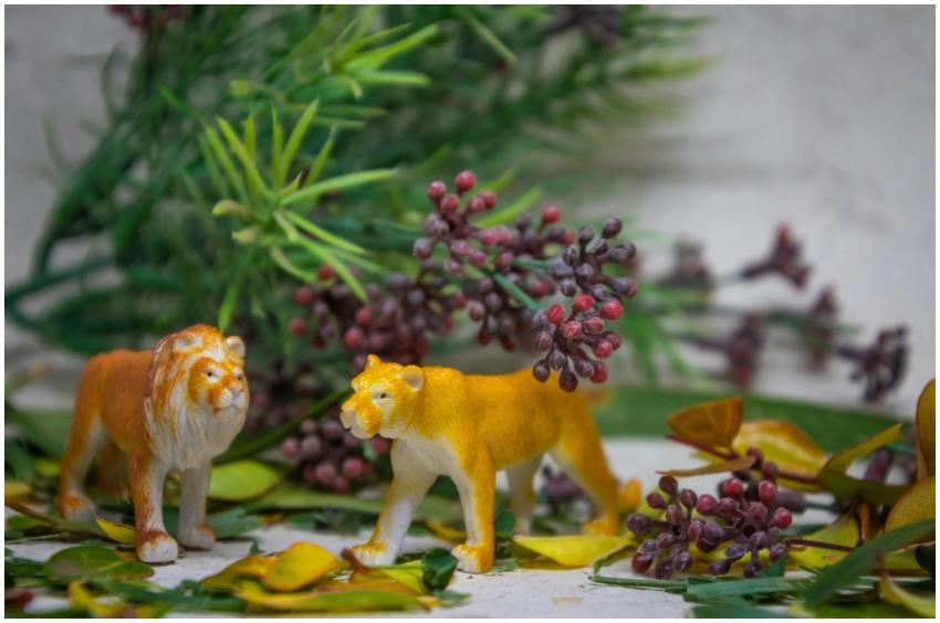 Close-up of miniature lion and lioness figurines s