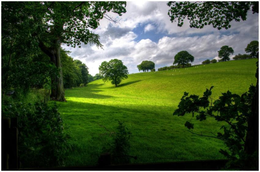 Vibrant green landscape featuring rolling hills, t