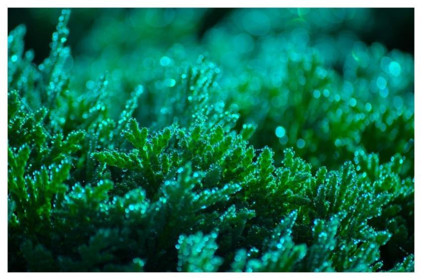 Waterdrop Wallpaper 4K Raindrop Background