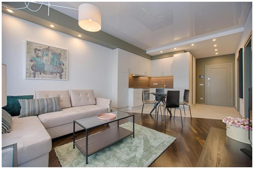 Spacious modern living room featuring chic furnitu