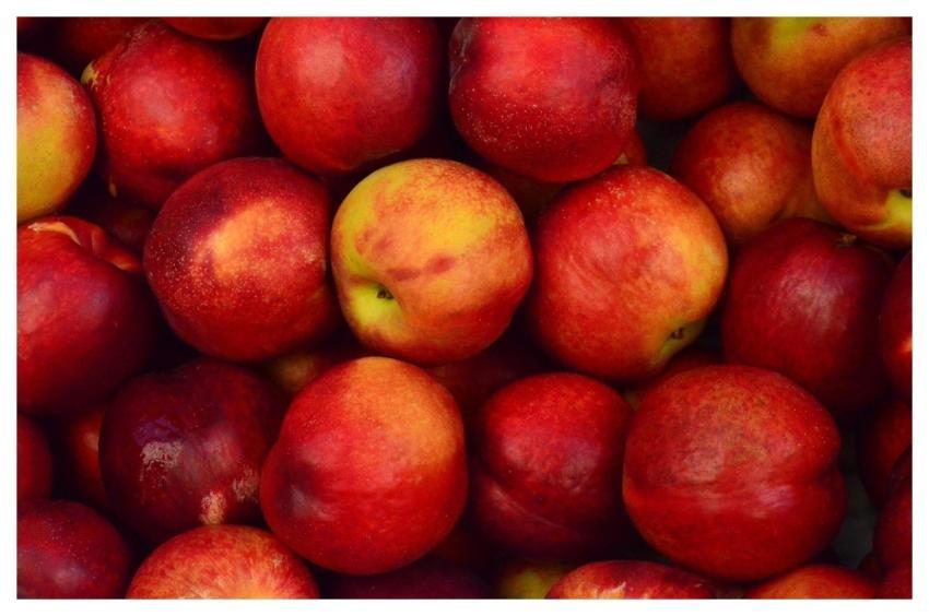 Apples Close Up Red Fresh