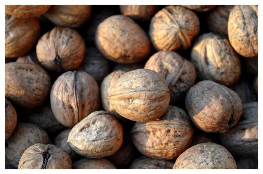 Walnuts Nuts Food Snack