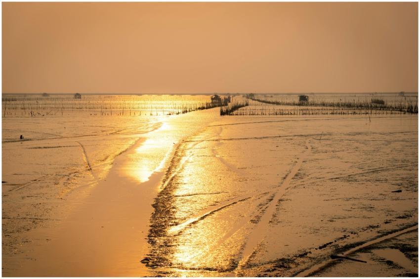 Peaceful golden sunset reflecting on serene mudfla
