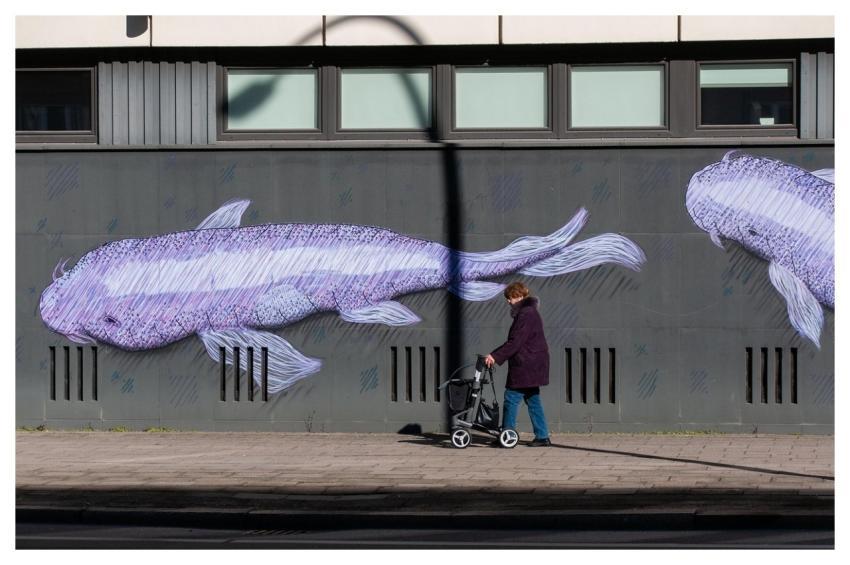 Road Nature Mural Fish