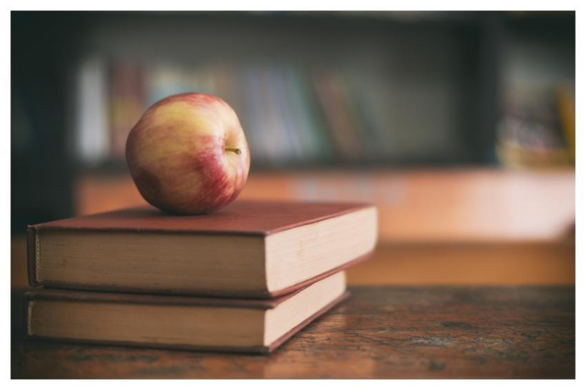 Apple Gift Teacher Book