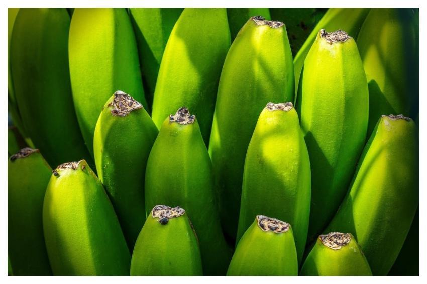 Banana Tree Fruit Nourishment Green