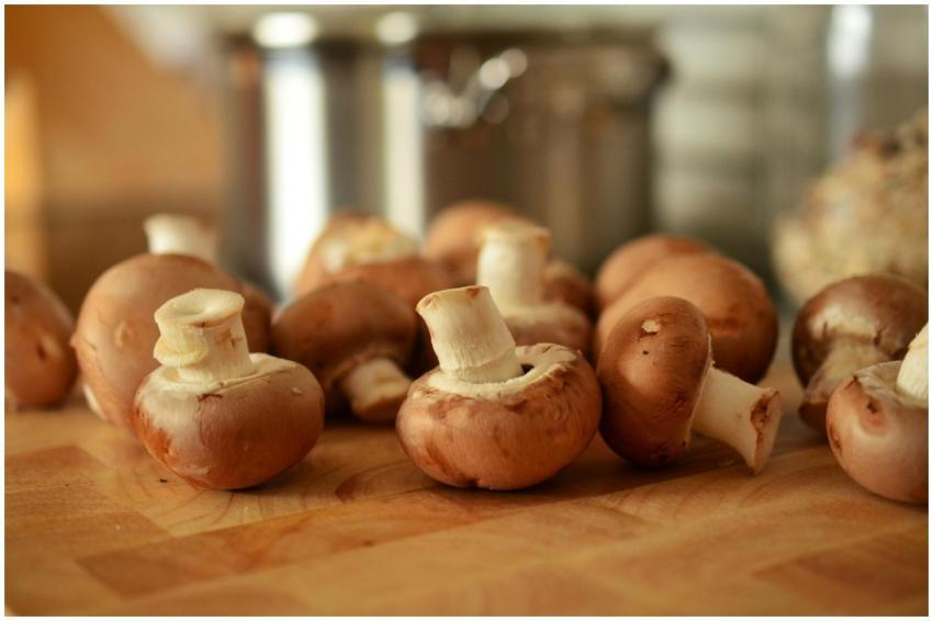 Close-up of fresh brown mushrooms on a wooden cutt