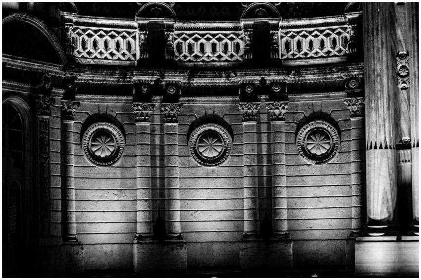 Monochrome image of intricate architectural detail