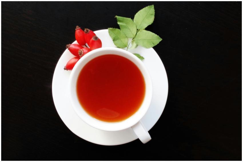 A cup of herbal tea with fresh rosehips and leaves