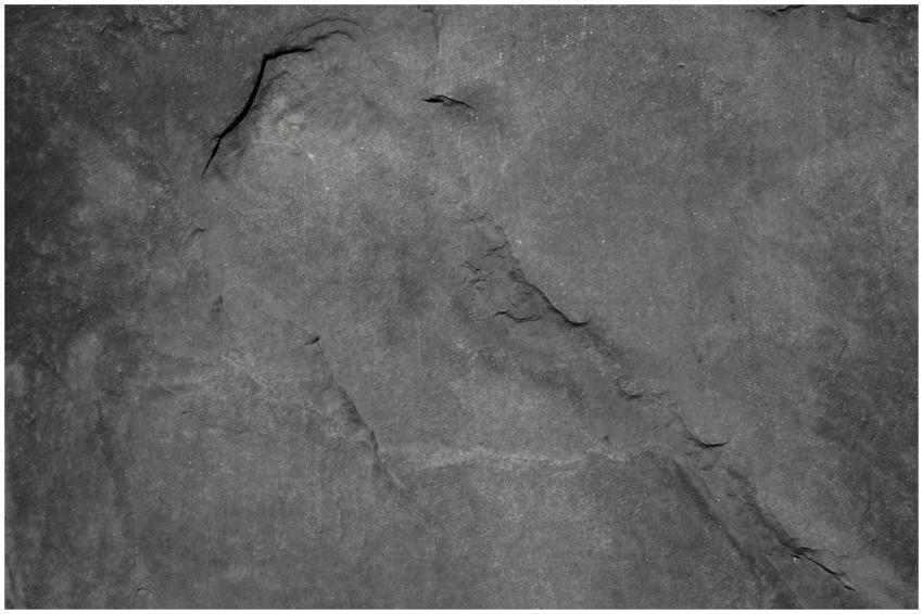 Close-up of a textured gray stone surface, highlig