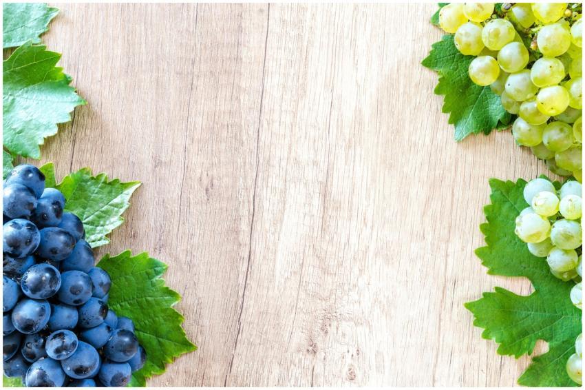 Clusters of fresh blue and green grapes with leave