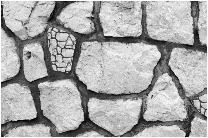 Close-up of a black and white textured stone wall