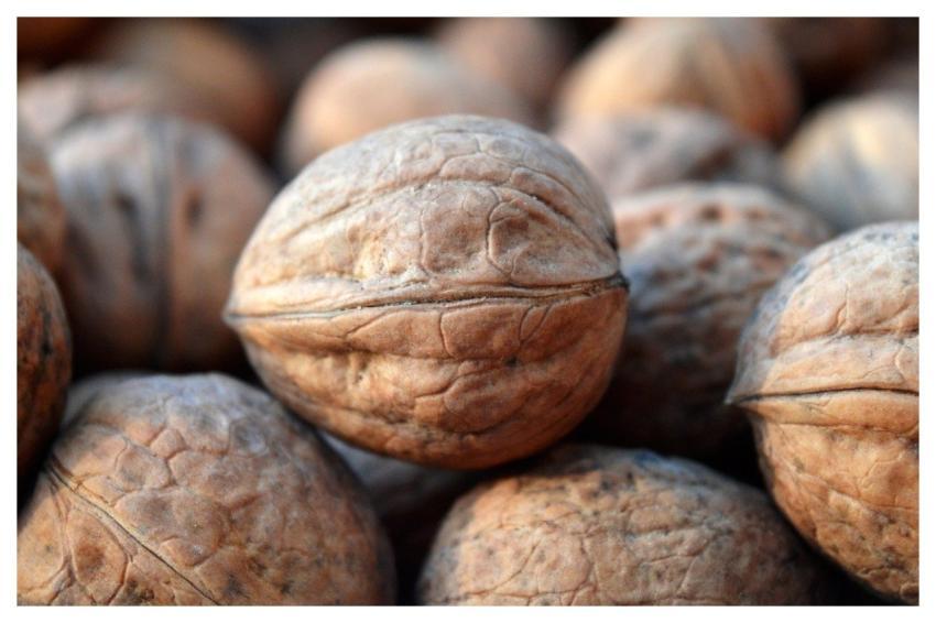 Walnuts Nuts Food Snack