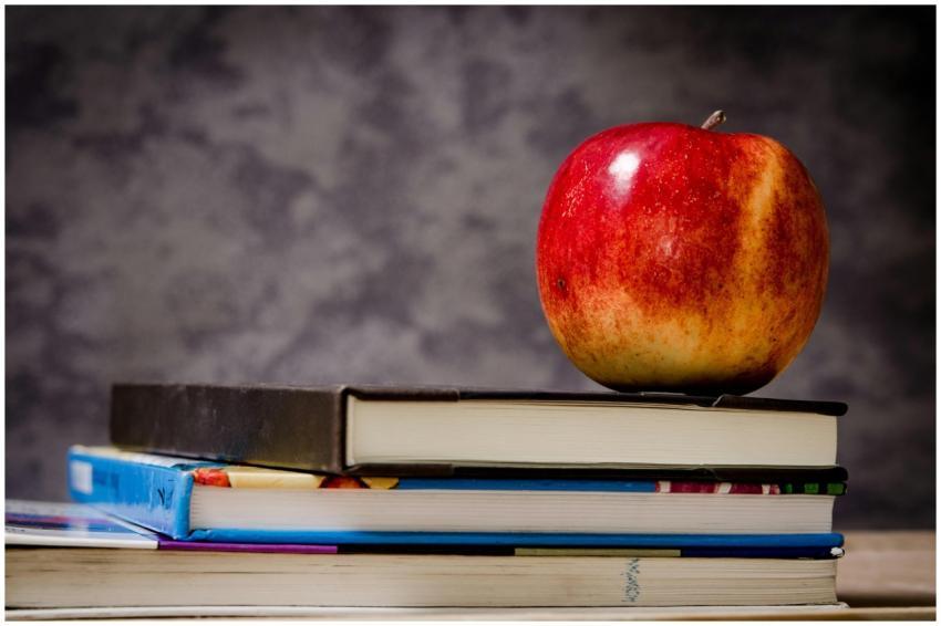 Red apple placed atop stacked books symbolizes edu