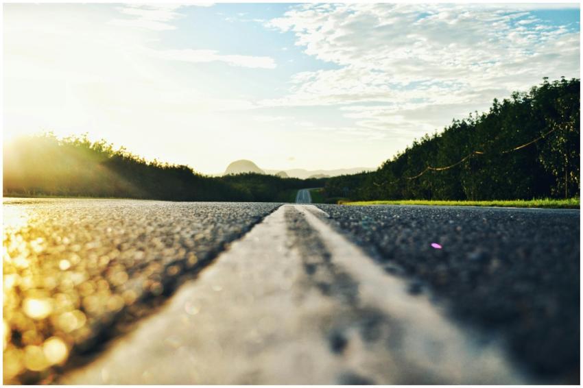 Serene road stretching through lush landscape duri