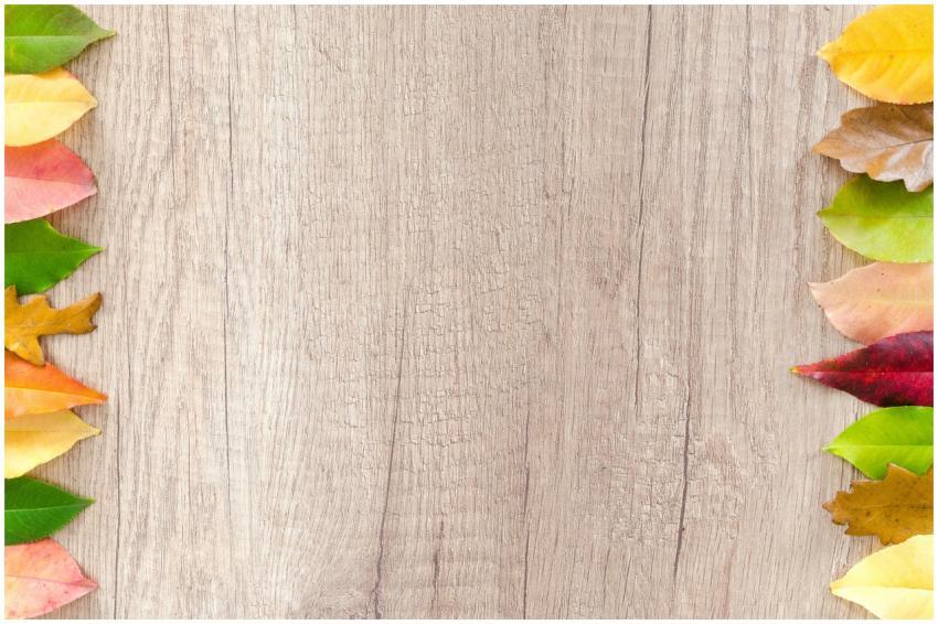 Vibrant autumn leaves framing a wooden surface, pe