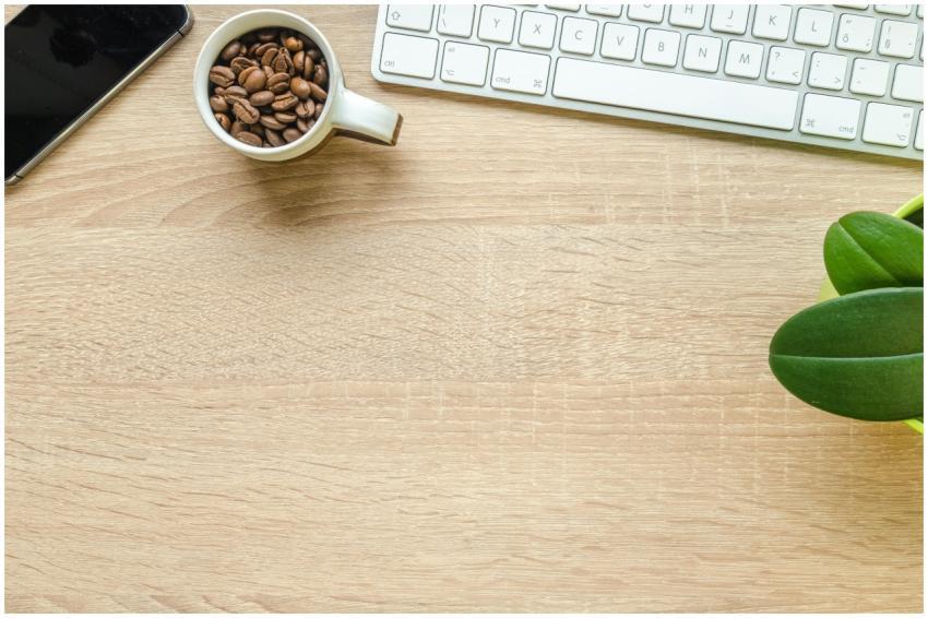 Flat lay of a clean desk with coffee beans, plant,