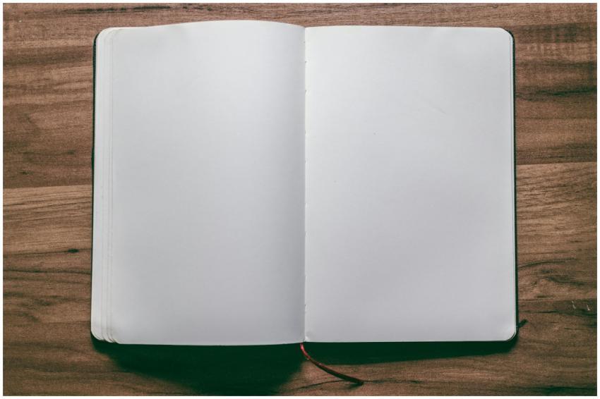 A top-down view of an open blank notebook on a woo