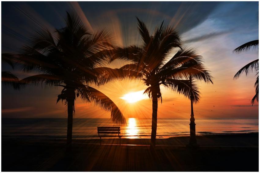 Captivating tropical beach sunset with silhouettes