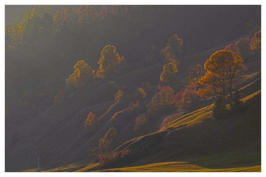 Evening Light Nature Sunset Fall