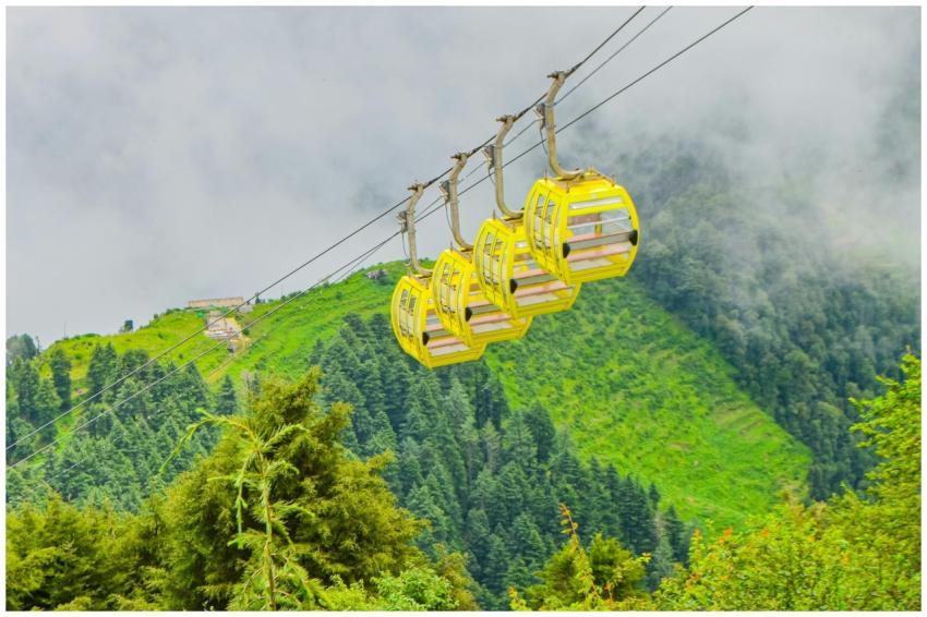 Yellow gondolas glide over lush, misty green mount