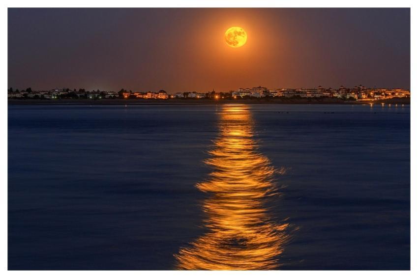 Full Moon Moon Path Night Toryyu86