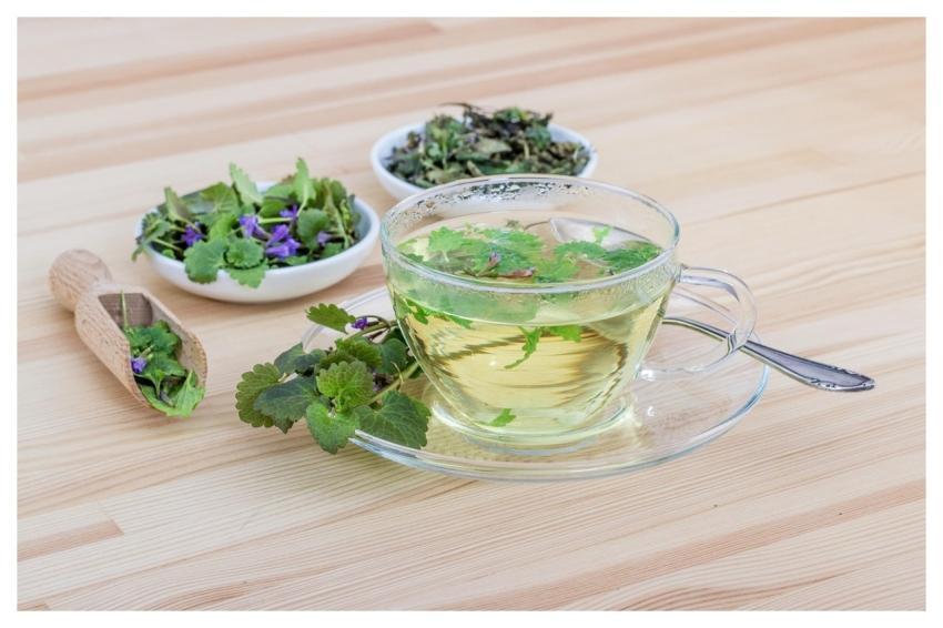 Tea Herbs Nature Herbal Tea