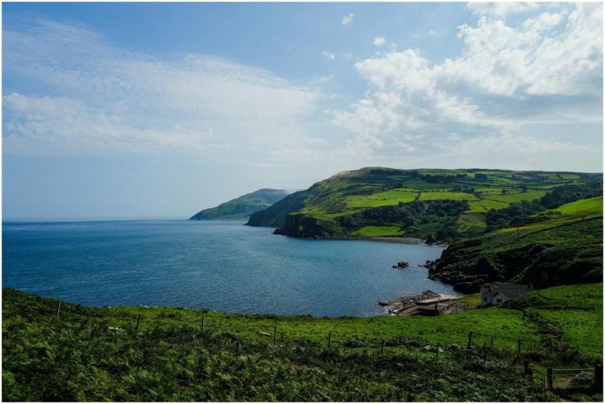 Discover the serene beauty of a lush green coastli